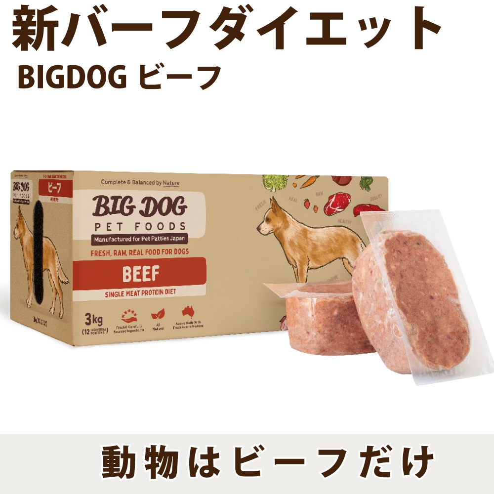 BIGDOG �ӡ��� 12������