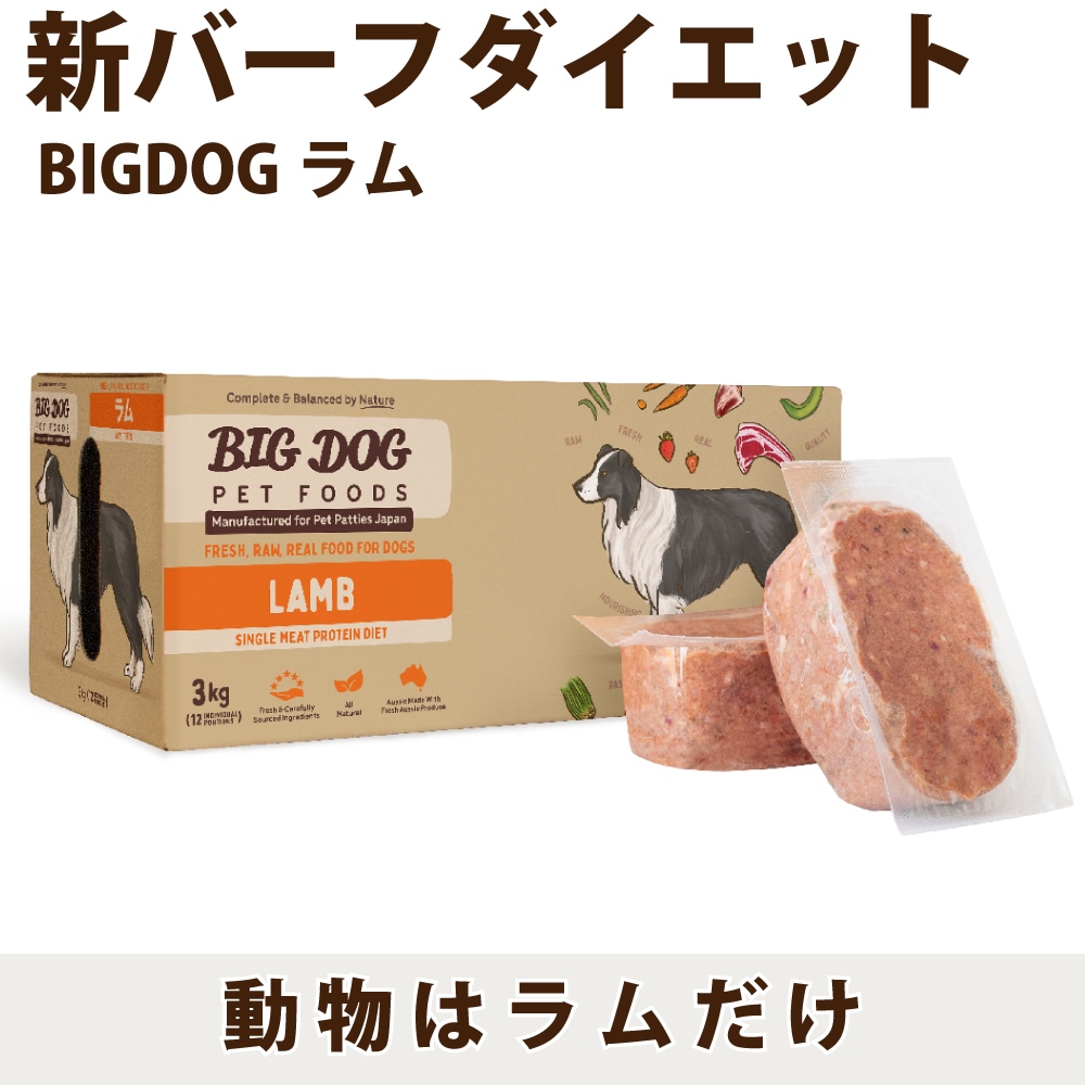 BIGDOG ��� 12������