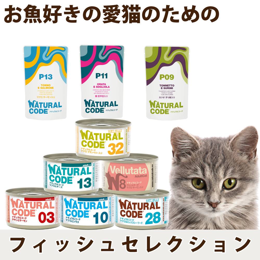 �������쥯�����