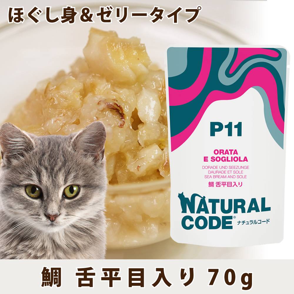 CNP11 �䡡��ʿ������