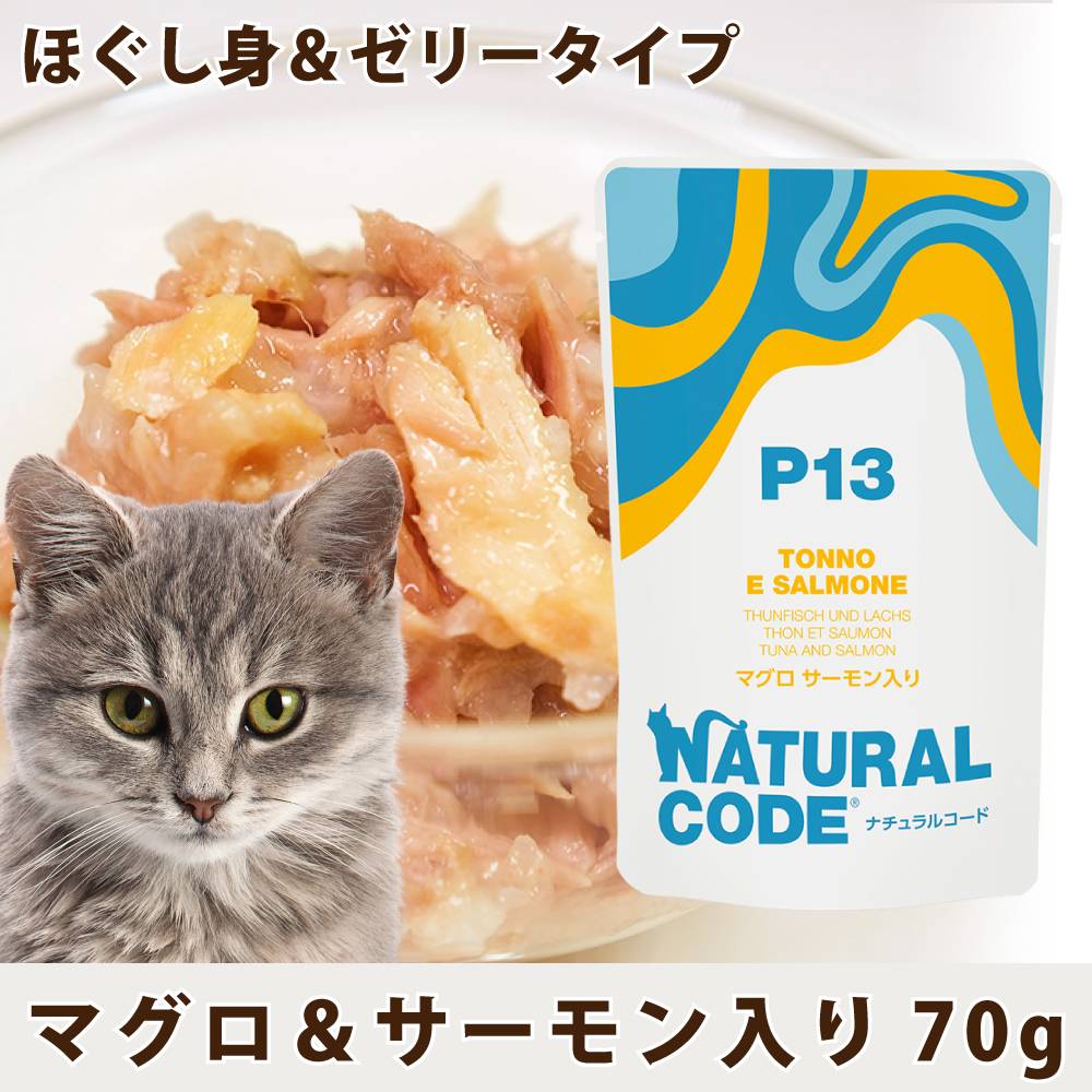 CNP13 �ޥ����������������