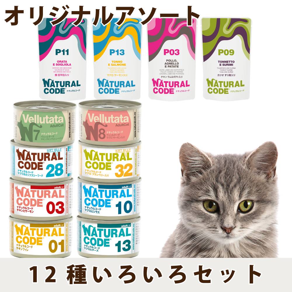 ����12��Х饨�ƥ����å�