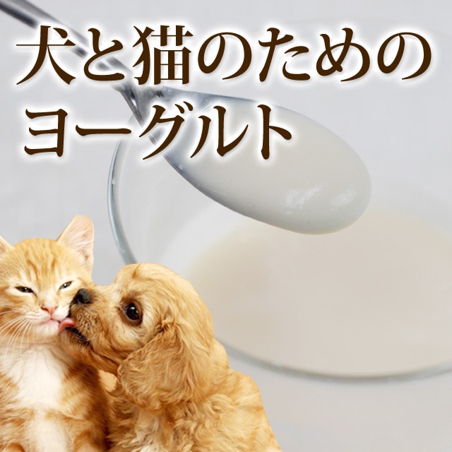 ����ǭ�Τ���Υ衼�����