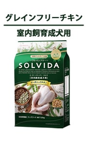 SOLVIDA-ソルビダ-インドアアダルト