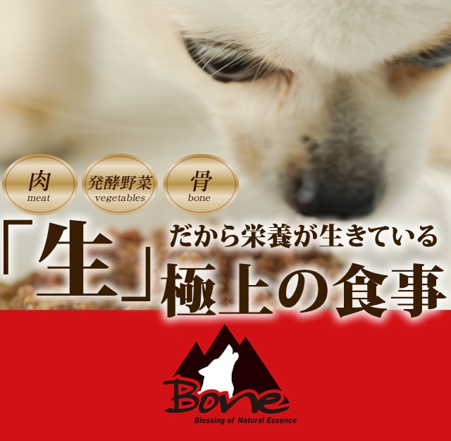 犬用生食 BONE（ボーン）の通販/販売 帝塚山ハウンドカム