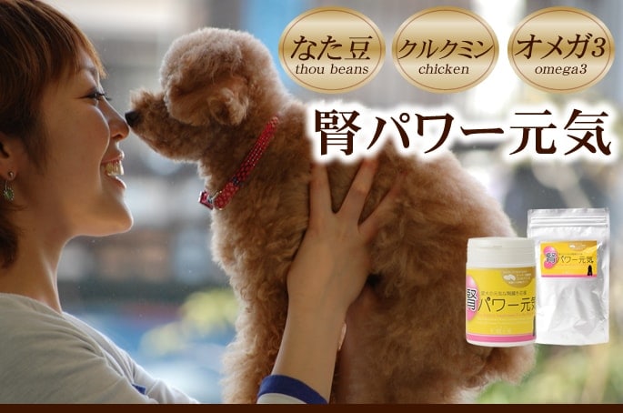 犬用サプリメント｜腎パワー元気犬用 90ｇ/200g｜ドッグフードの通販 