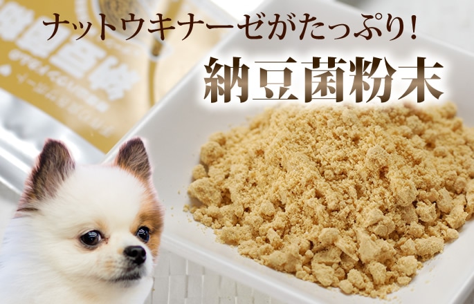 犬用 手作り食材 納豆菌粉末 ドックフードの通販 帝塚山ハウンドカム