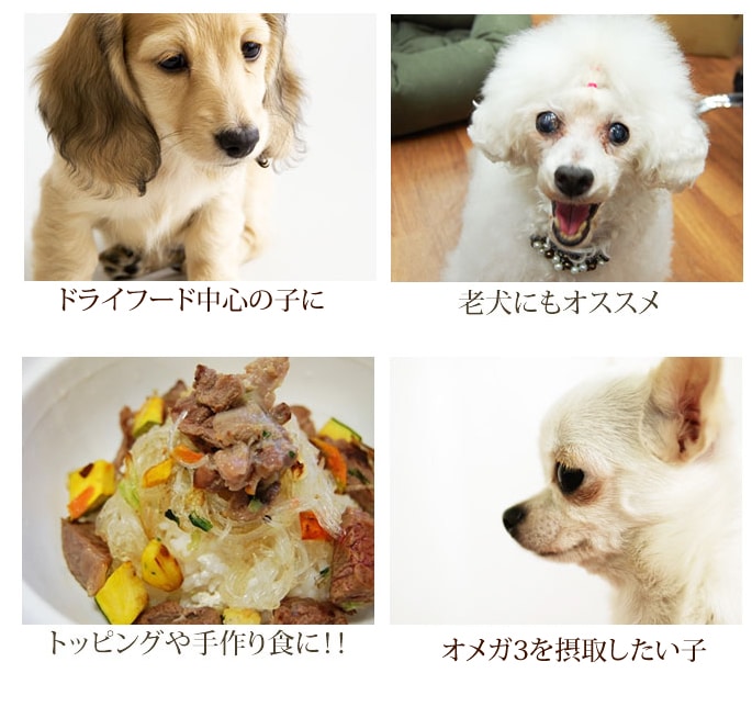 犬用サプリメント 国産オメガ３粉末 天然マグロ由来 ドッグフードの通販 帝塚山ハウンドカム