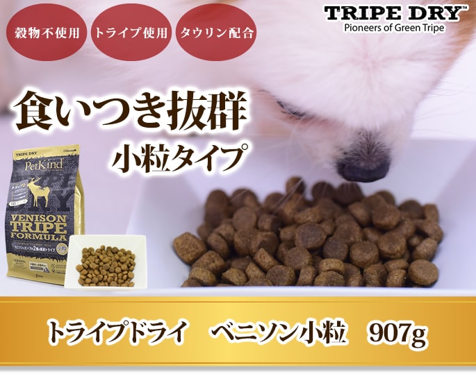 オリジナルペイント　ドッグ&ドッグ ドナルドダック～三人の騎士～」OH MY CAFE | OH MY CAFE