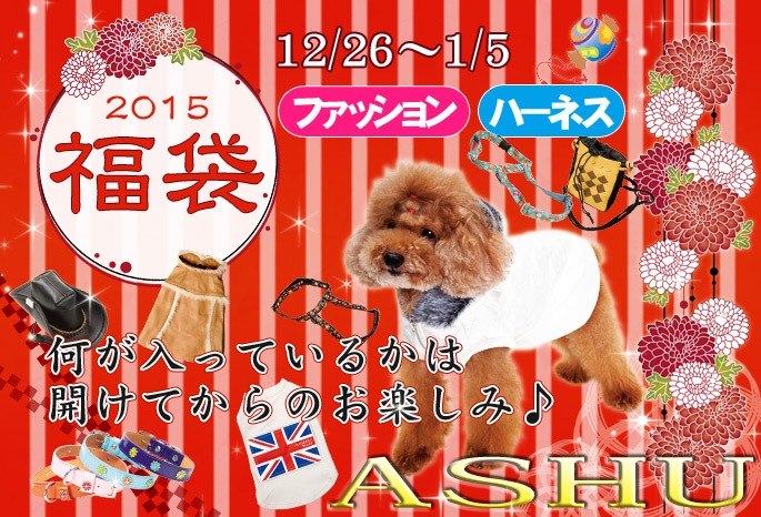 犬の服 福袋 Ashuの通販 販売 帝塚山ハウンドカム