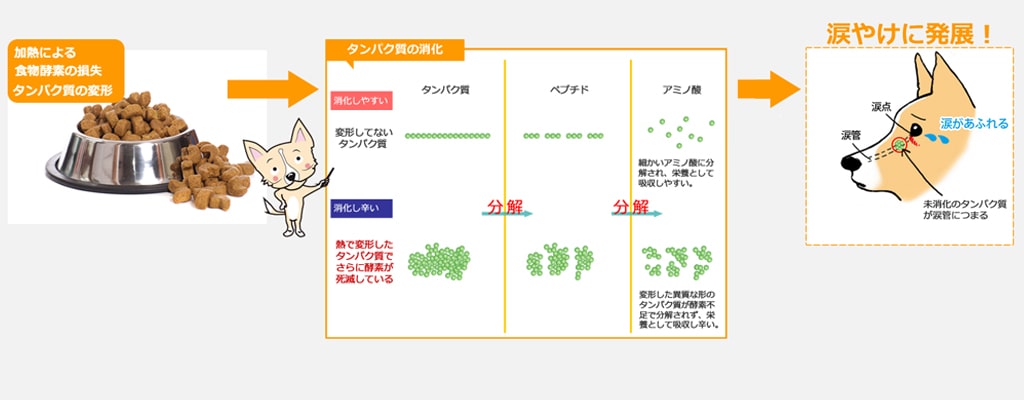 涙やけ特集 ドッグフード通販 販売の帝塚山ハウンドカム