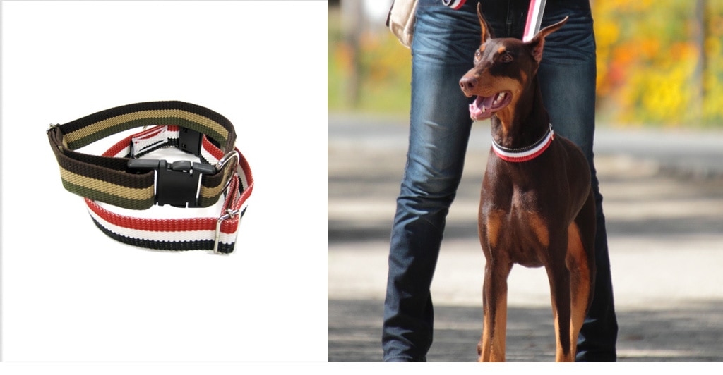 大型犬首輪特集 サイズが大きめの首輪・リード・ハーネスの通販/販売