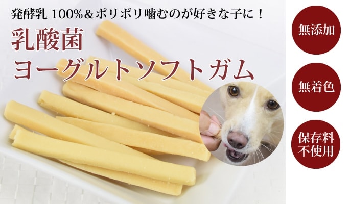 無添加犬おやつ 乳酸菌ヨーグルトソフトガム ドッグフードの通販 帝塚山ハウンドカム