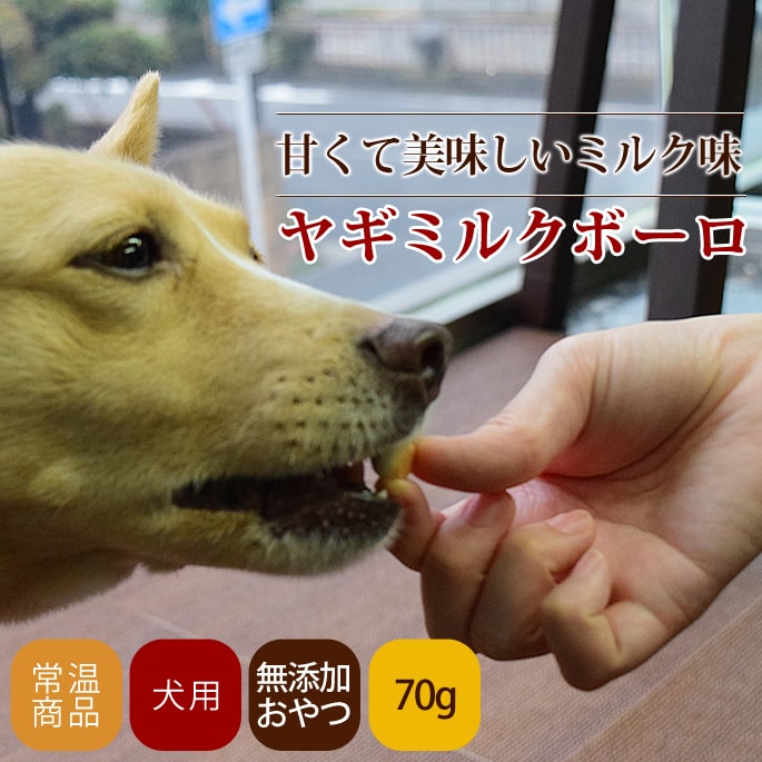 市場 カリッとご当地プレッツェル 犬用おやつ 北海道メロン味 30g