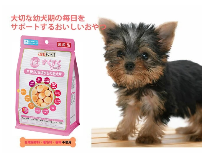 すがすけ様専用 ハウスとすーちゃんのツーウェイバツクゴン助 ゴン