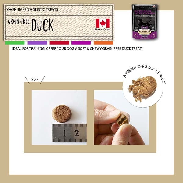 �����֥�٥����ɡ��ȥ꡼�ġ��ǥ󥿥�