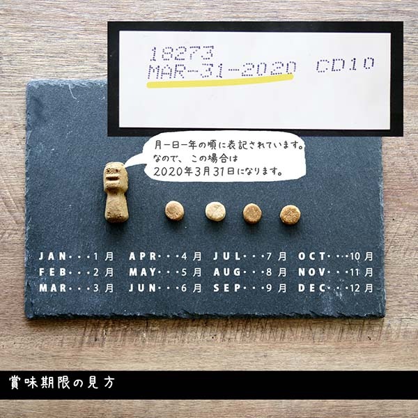 �����֥�٥����ɡ��ȥ꡼�ġ��ǥ󥿥�