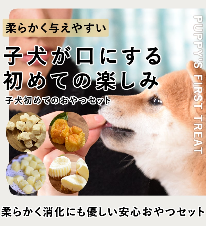 犬用おやつ｜子犬初めてのおやつセット