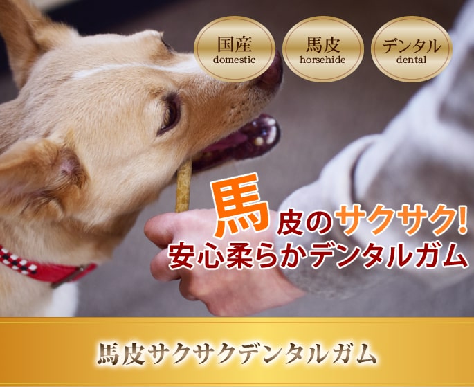 愛犬用ガム 馬皮サクサクデンタルガム