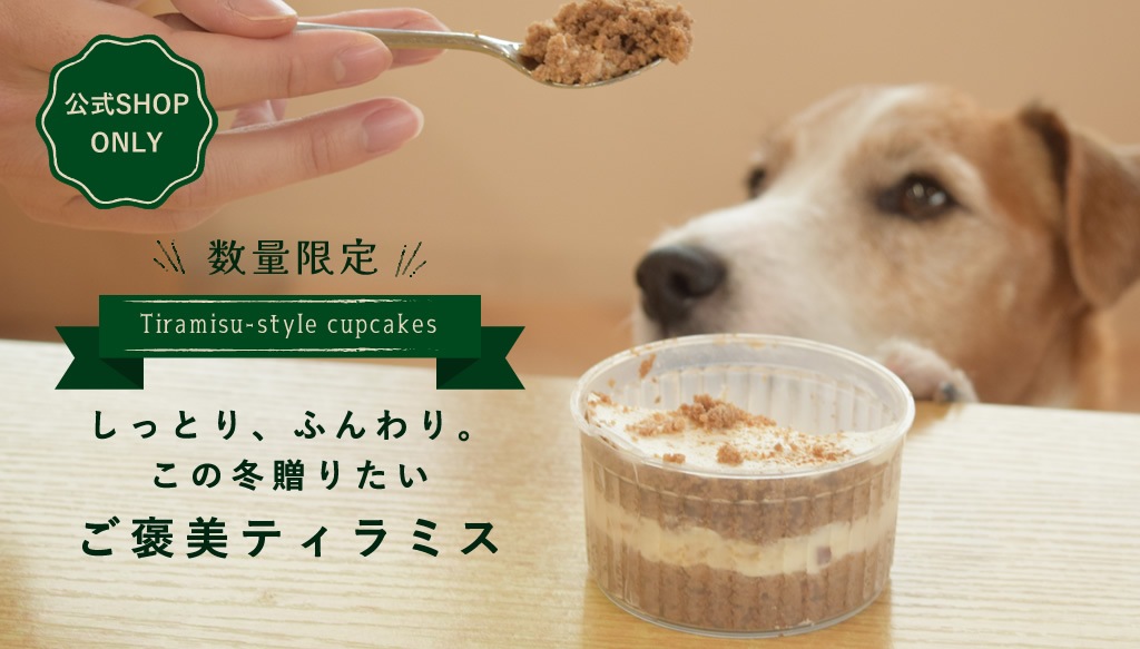 �ƥ���ߥ������åץ�����pc��fv