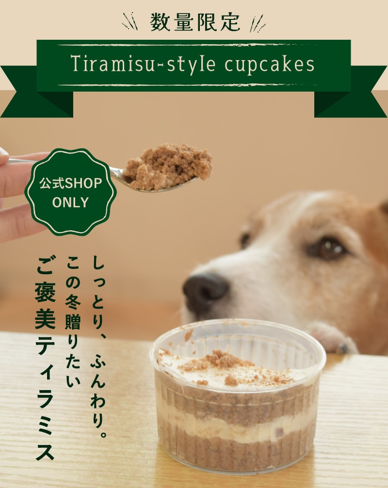 �ƥ���ߥ������åץ�����sp��fv