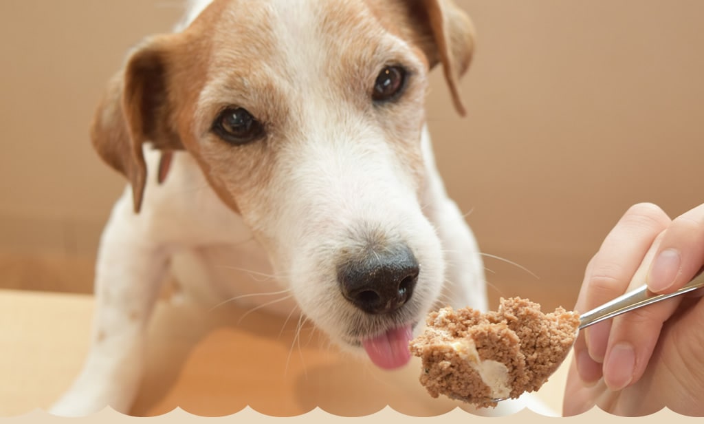 ����ʰ����ˤ�������pc