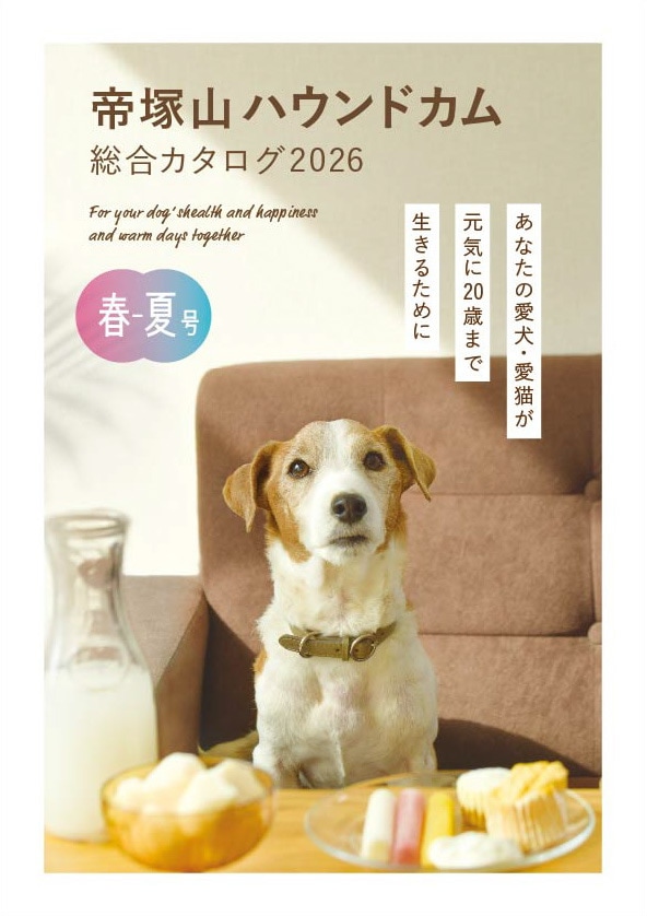���ͻ��ϥ���ɥ��ࡡ���祫������