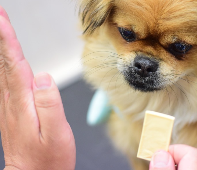 犬用おやつ ご褒美 しつけ用 パリッとチーズ ドッグフードの通販 帝塚山ハウンドカム