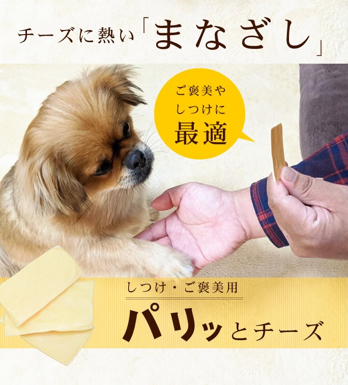 犬用おやつ ご褒美 しつけ用 パリッとチーズ ドッグフードの通販 帝塚山ハウンドカム