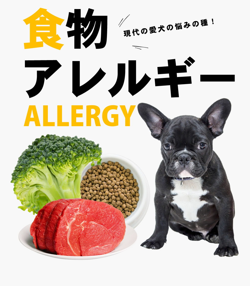 犬の食物アレルギーと毎日の食事の通販 販売 帝塚山ハウンドカム
