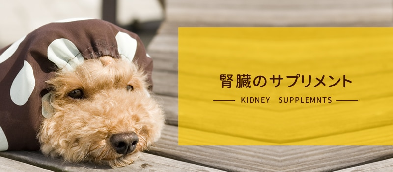 愛犬用サプリメント、腎臓サポートの通販・販売なら帝塚山ハウンドカム