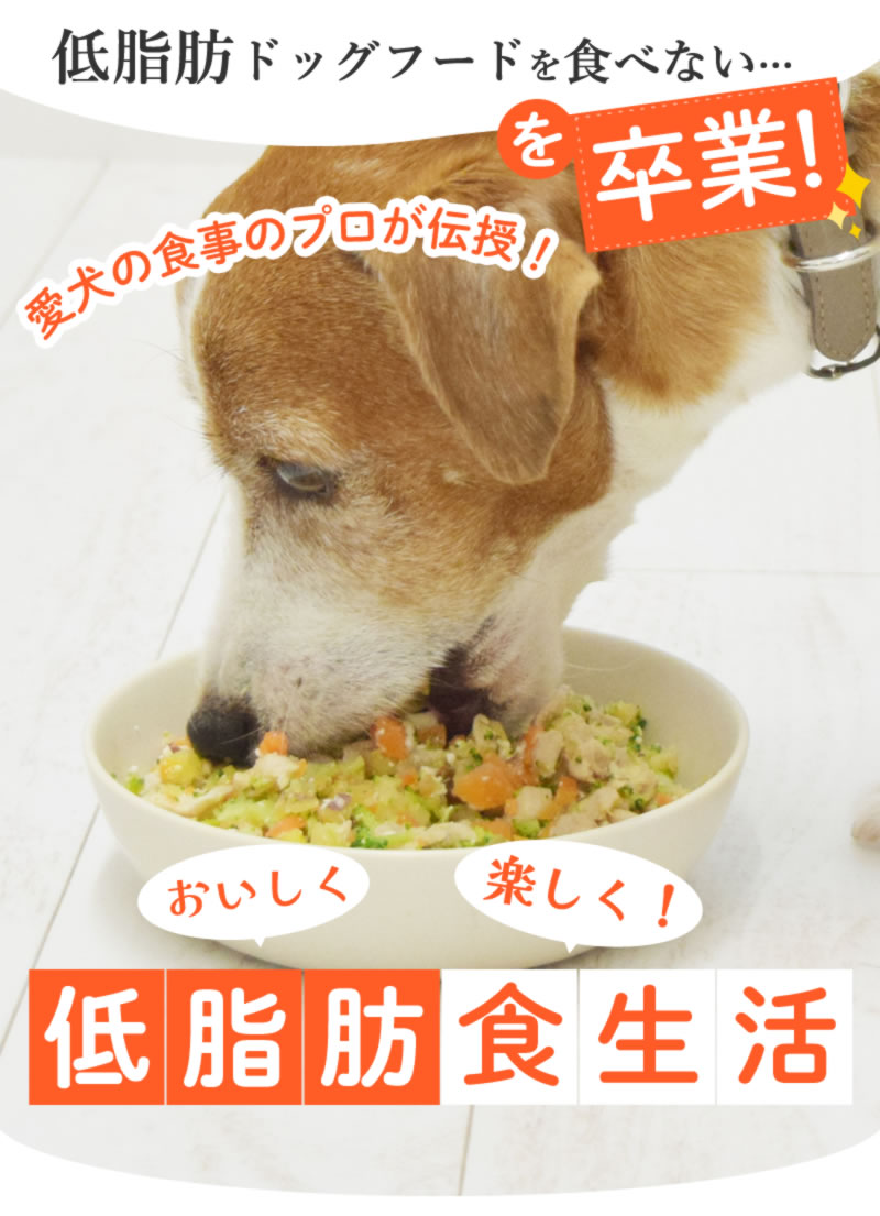 ���������ڤ�������ÿ�����fvsp