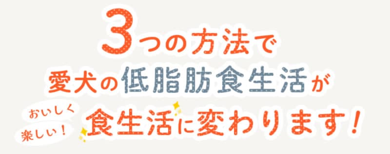 3�Ĥ���ˡ�ǰ���������ÿ����褬���������ڤ�����������Ѥ��ޤ���fvsp