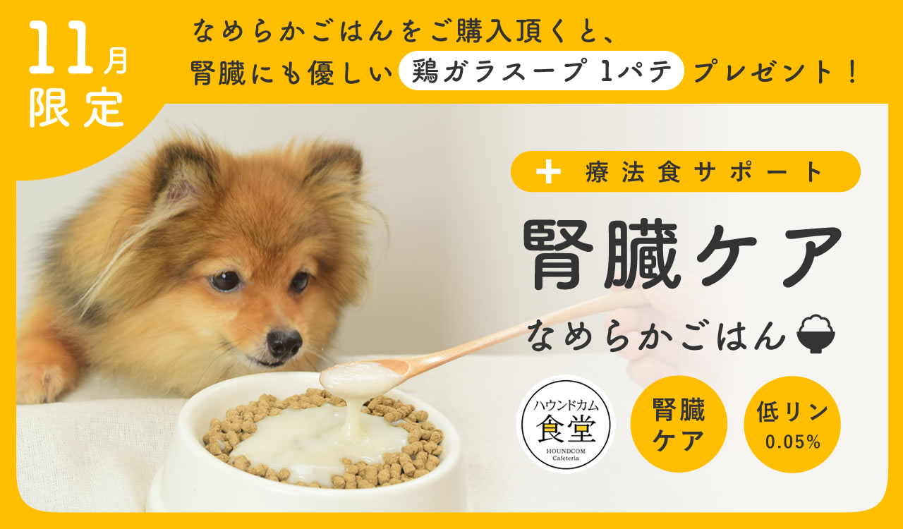 なめらかごはん