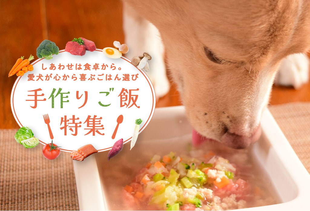 ���ꤴ���ý�fvpc��