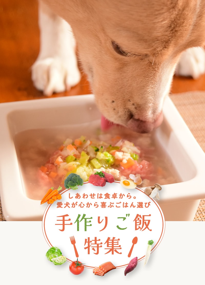 ���ꤴ���ý�fvsp��