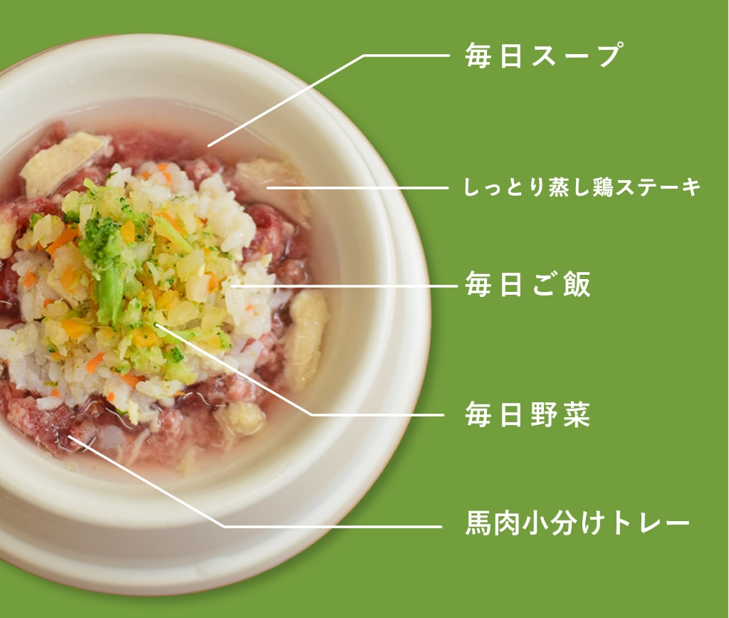 ����˼��ꤴ�Ӥ򽼼¤����������Ը�����pc��