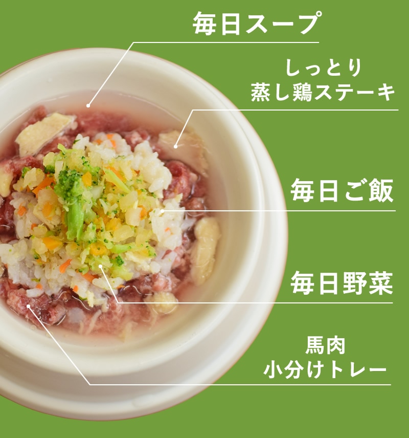 ����˼��ꤴ�Ӥ򽼼¤����������Ը�����sp��