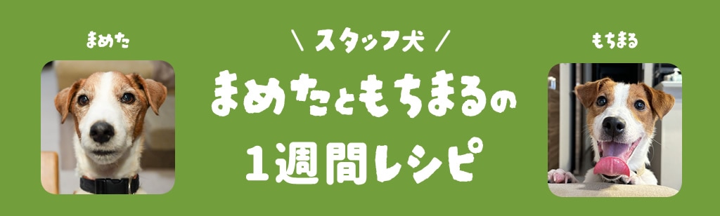 �ޤ᤿�Ȥ���ޤ��1���֥쥷��pc��