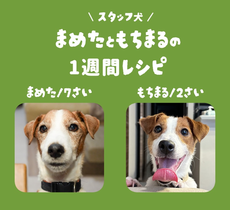 �ޤ᤿�Ȥ���ޤ��1���֥쥷��sp��