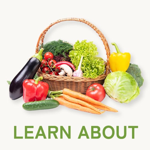 ���ꤴ�Ӥ��Τ�