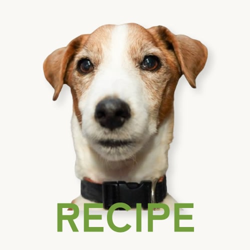 ���ꤴ��1���֥쥷��