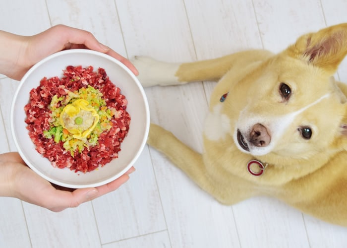 ���ꤴ�ӤȤ����