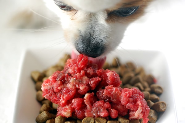 ������ʬ���ȥ졼