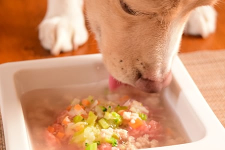 ���������ʬ��뤬�Ǥ���