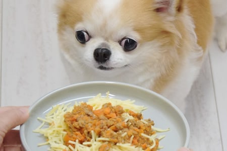 �μ���饤�ե��ơ����˹�碌��Ĵ���Ǥ���