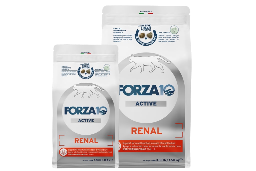 FORZA10�������ƥ��֥饤��