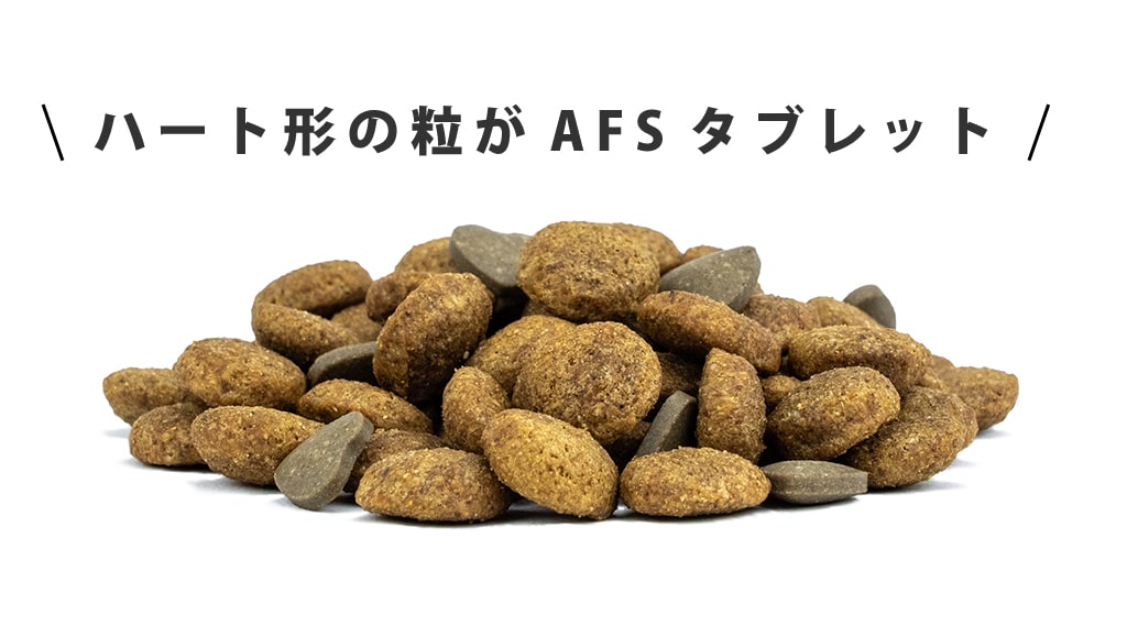 AFS���֥�å�