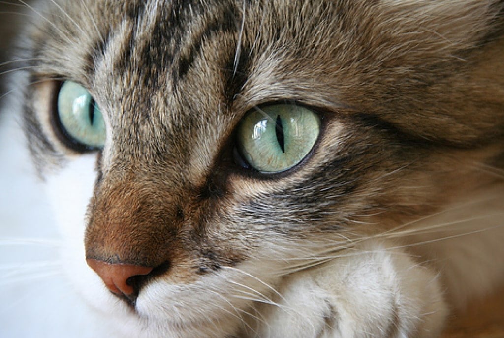 ��ˡ������������ܿ�