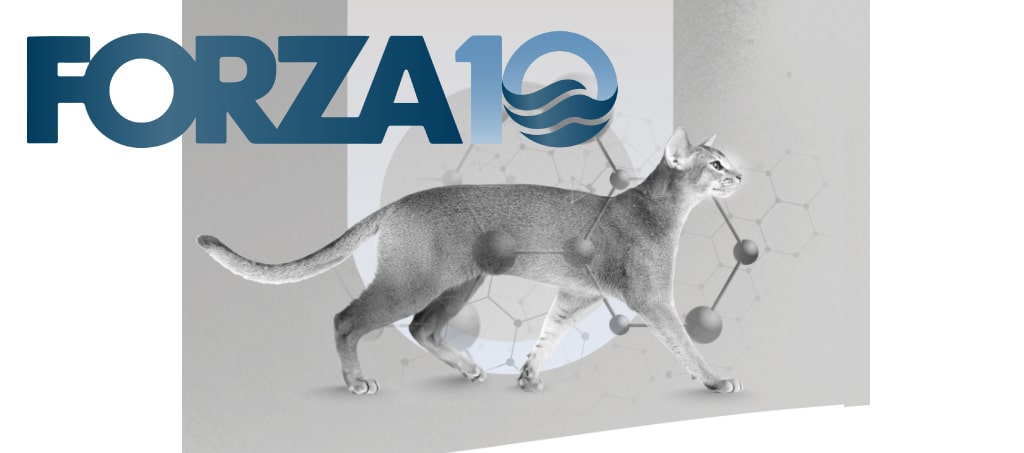 FORZA10�������ƥ��֥饤��